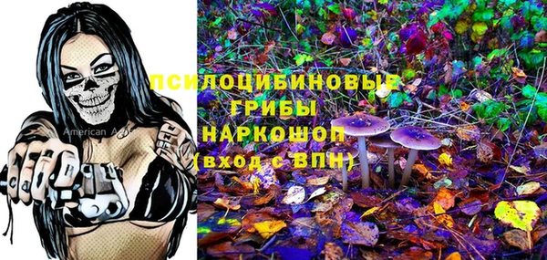 спайс Медвежьегорск